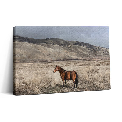 Tablou canvas 30x20 Armăsar în iarbă