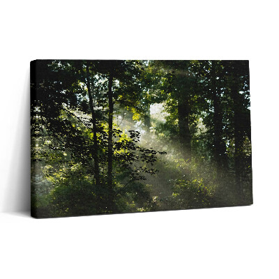 Tablou canvas 30x20 Razele soarelui și copacii