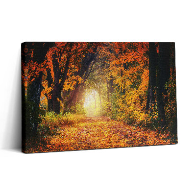 Tablou canvas 30x20 Tunelul Pădurii cu Frunze de Toamnă