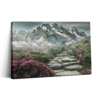 Tablou canvas 30x20 Un drum de piatră în munți