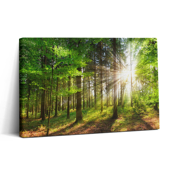 Tablou canvas 30x20 Pădure și răsărit de soare