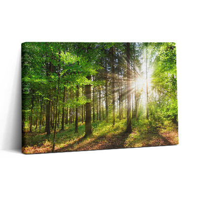 Tablou canvas 30x20 Pădure și răsărit de soare