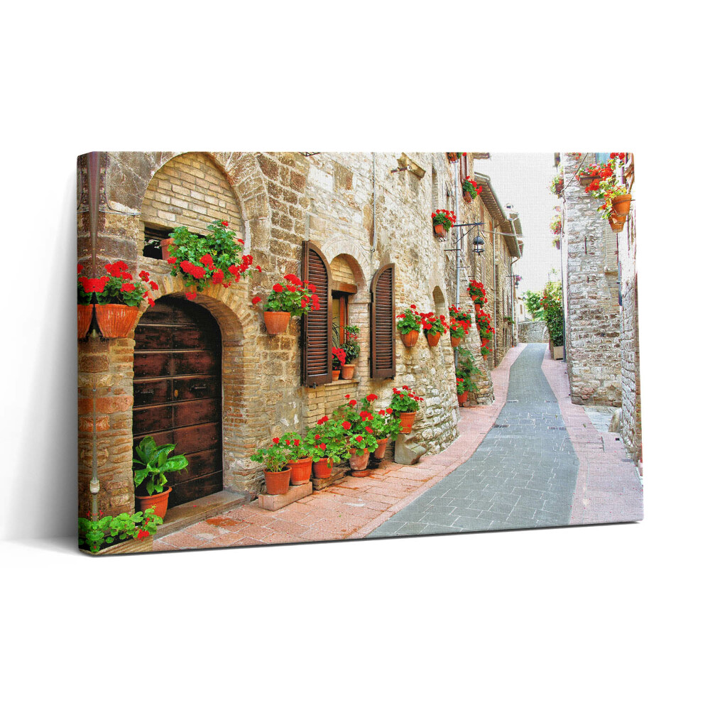 Tablou canvas 30x20 O stradă pitorească cu flori