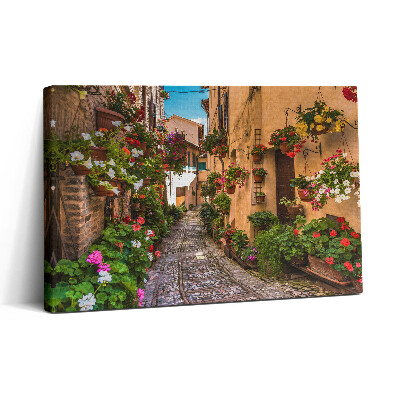 Tablou canvas 30x20 Strada Florilor din Umbria