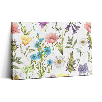 Tablou canvas 30x20 Ilustrație florală - pajiște cu flori