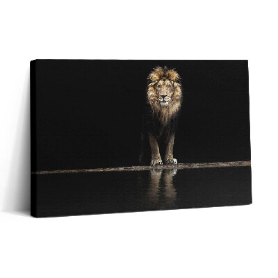 Tablou canvas 30x20 Leu singuratic, animal sălbatic