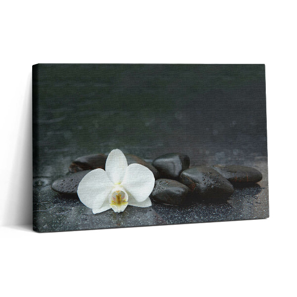 Tablou canvas 30x20 Pietre Zen cu flori albe