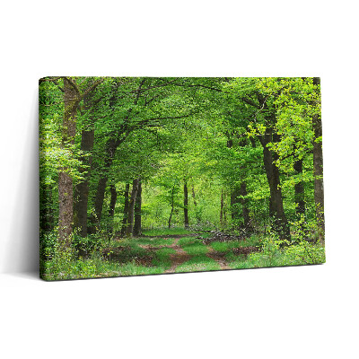 Tablou canvas 30x20 Drum forestier sub copaci