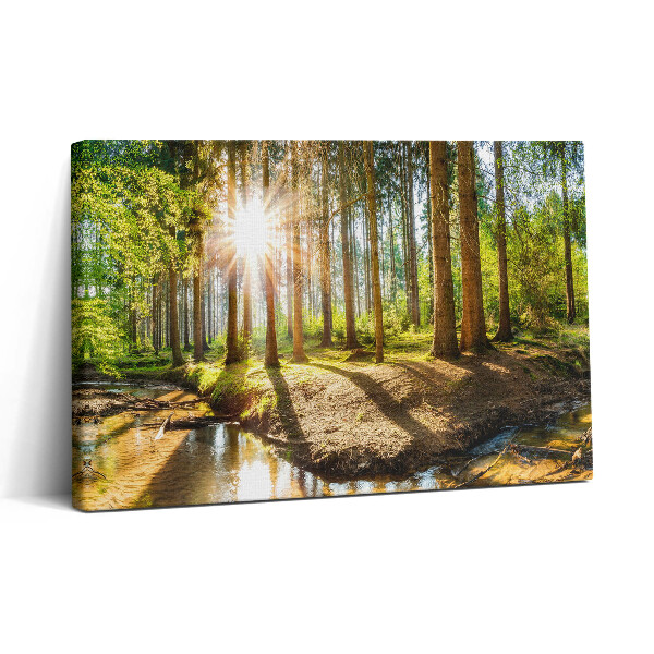 Tablou canvas 30x20 Soarele din spatele copacilor din pădure