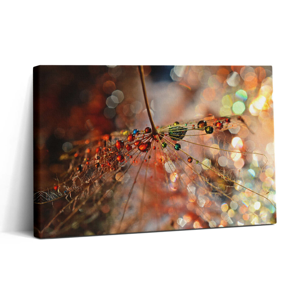 Tablou canvas 30x20 Păpădie și rouă