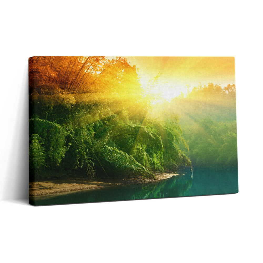 Tablou canvas 30x20 Peisaj natural la soare