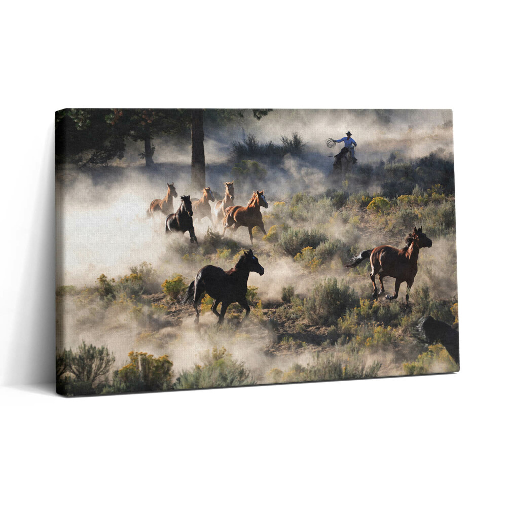 Tablou canvas 30x20 O turmă de cai în galop