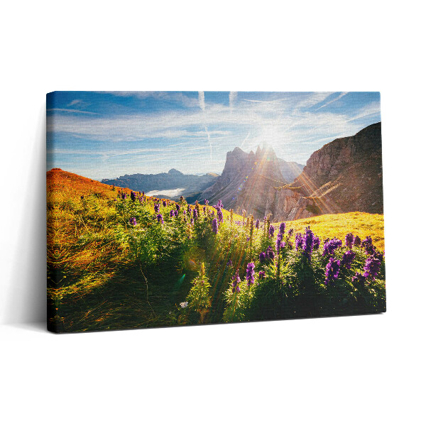 Tablou canvas 30x20 Peisaj dolomitic