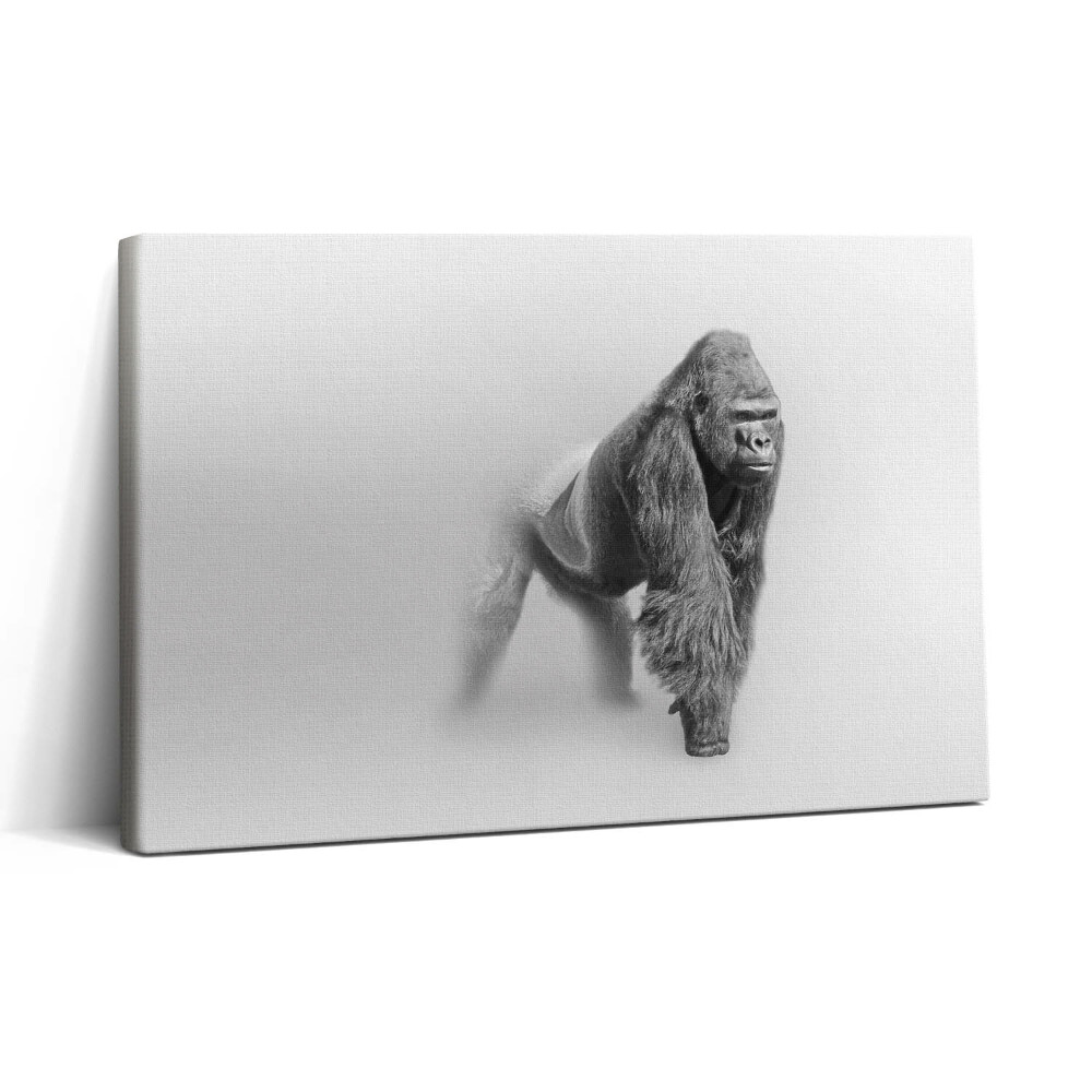 Tablou canvas 30x20 Colecția de artă a vieții sălbatice