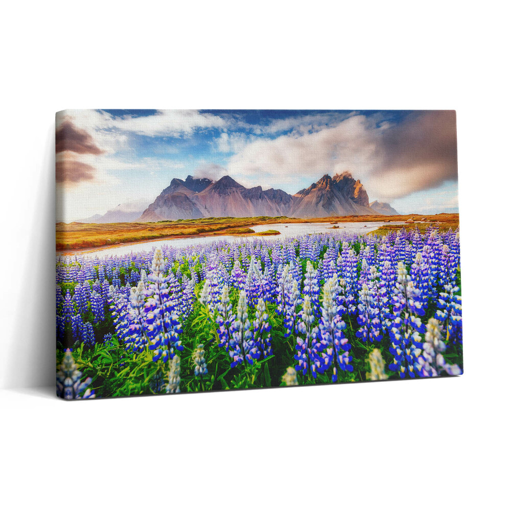 Tablou canvas 30x20 Flori magice de lupin