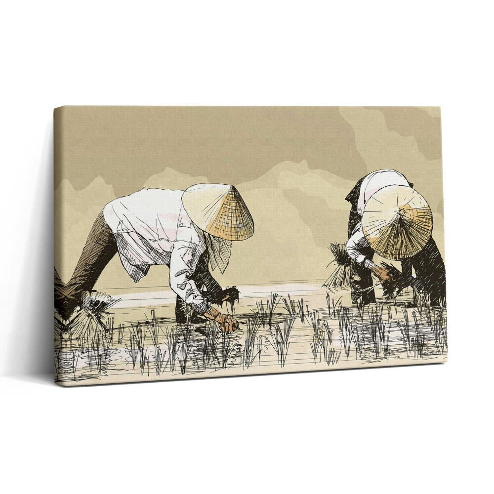 Tablou canvas 30x20 Două femei recoltează orez în Asia
