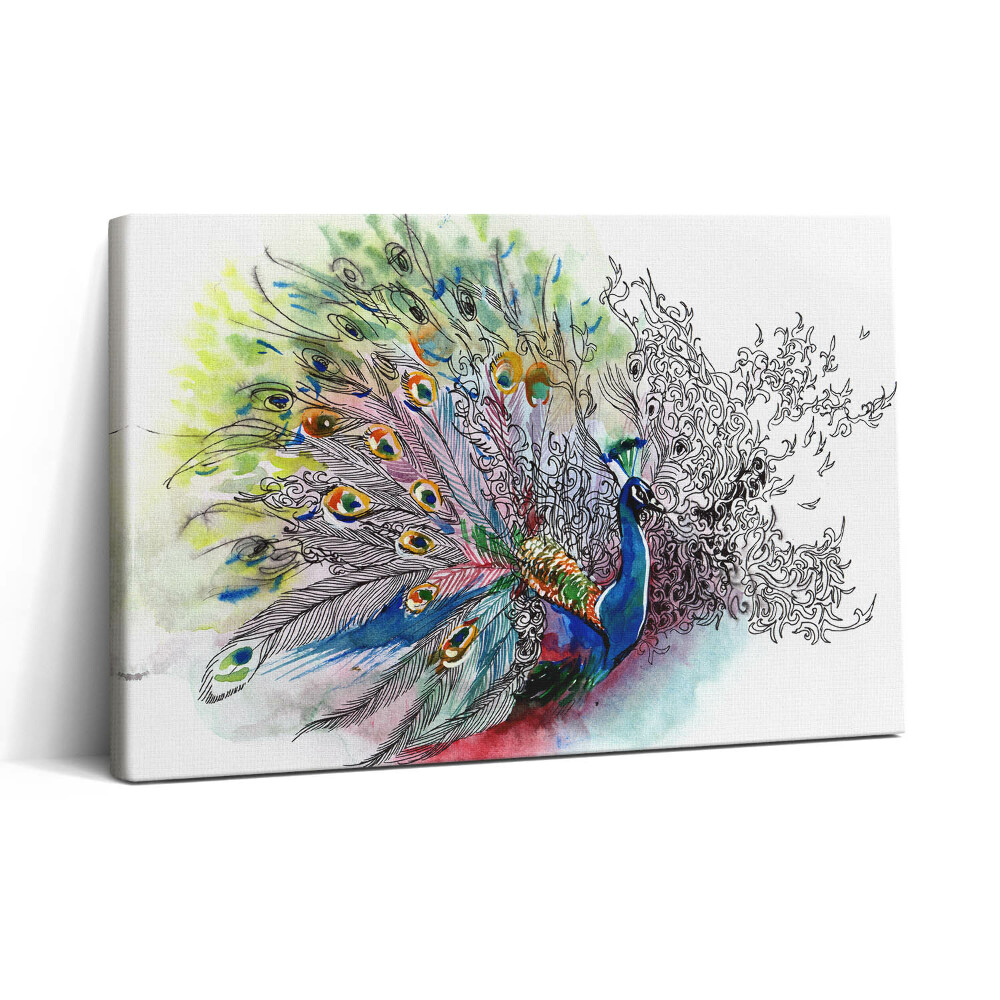 Tablou canvas 30x20 Păun colorat