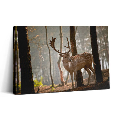 Tablou canvas 30x20 Cerbi în strălucirea soarelui care răsare