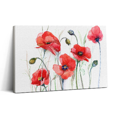 Tablou canvas 30x20 Arta picturii - Maci roșii