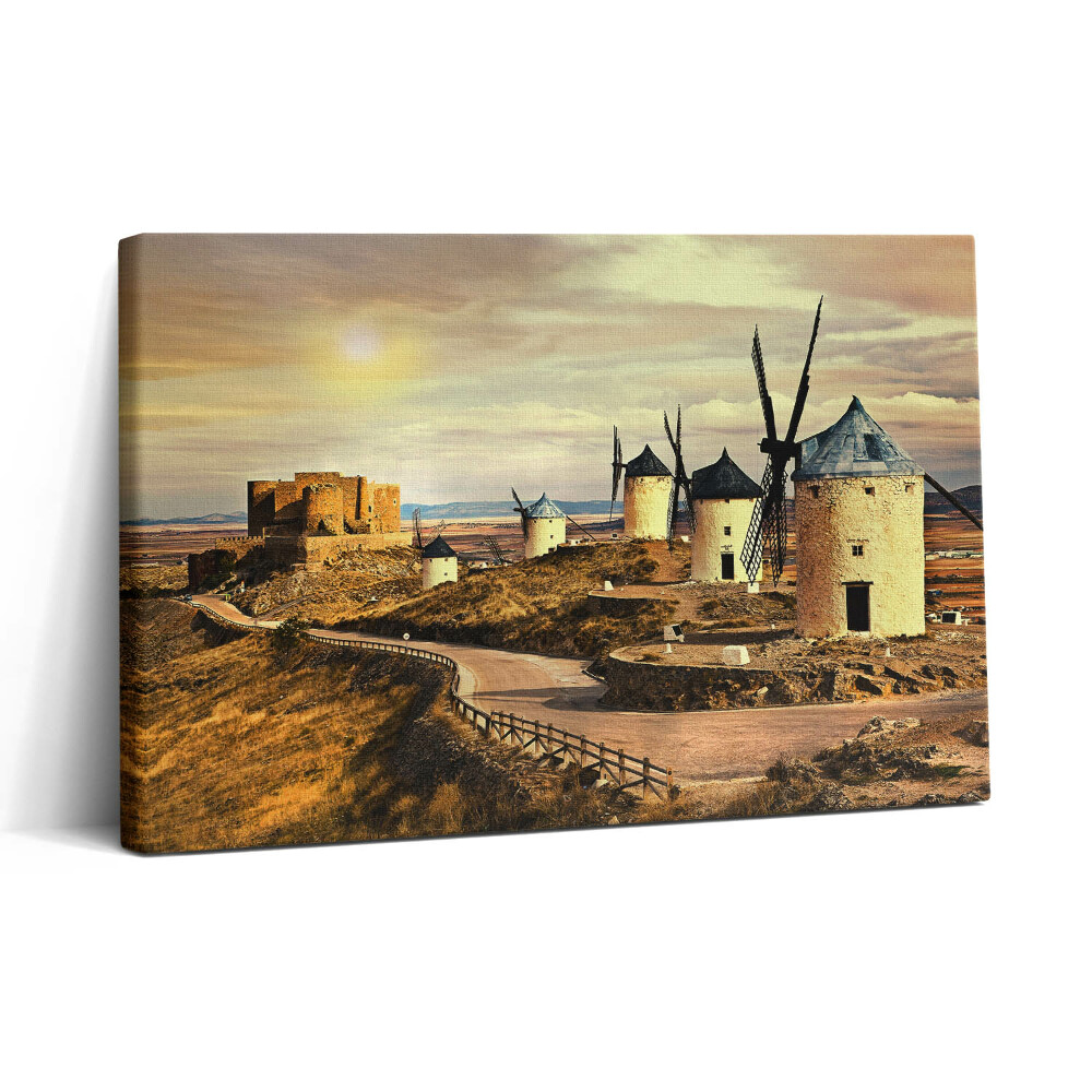 Tablou canvas 30x20 Morile de vânt din Cosuegra