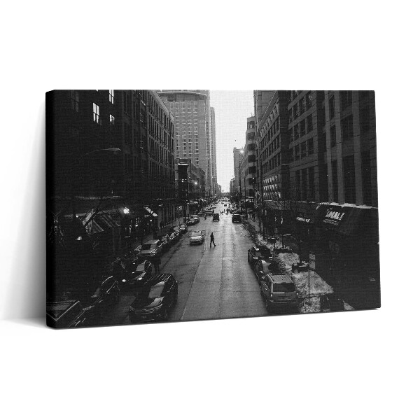 Tablou canvas 30x20 Străzile albe și negre din Chicago