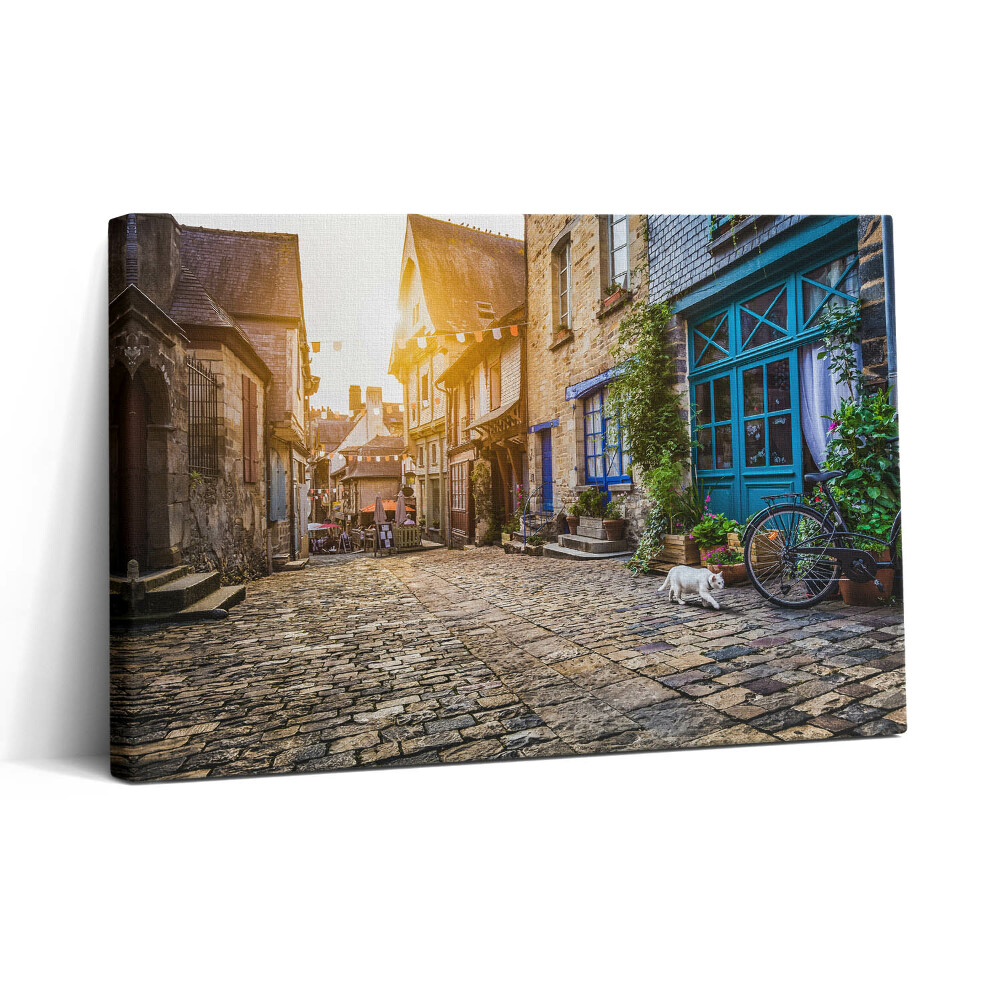 Tablou canvas 30x20 Strada Orașului Vechi