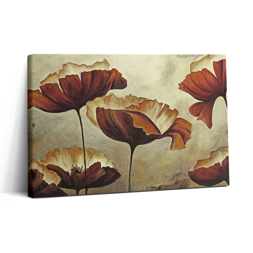 Tablou canvas 30x20 Maci pictați