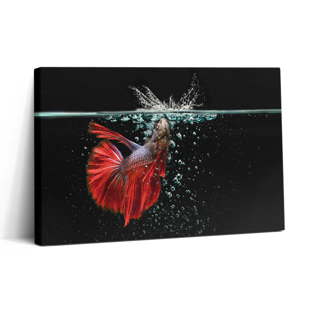 Tablou canvas 30x20 Peștii din acvariu