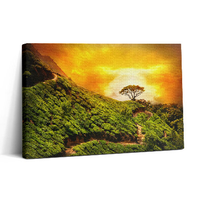 Tablou canvas 30x20 Dealul Ceaiului