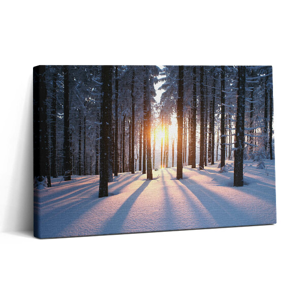 Tablou canvas 30x20 Apus de soare și pădure iarna