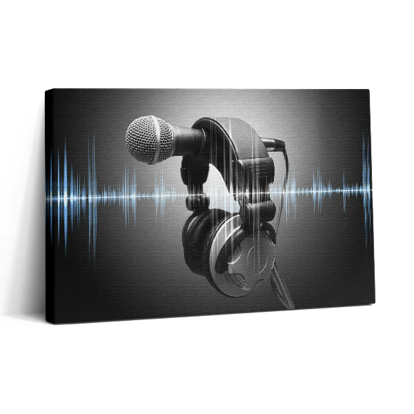 Tablou canvas 30x20 Microfon și căști