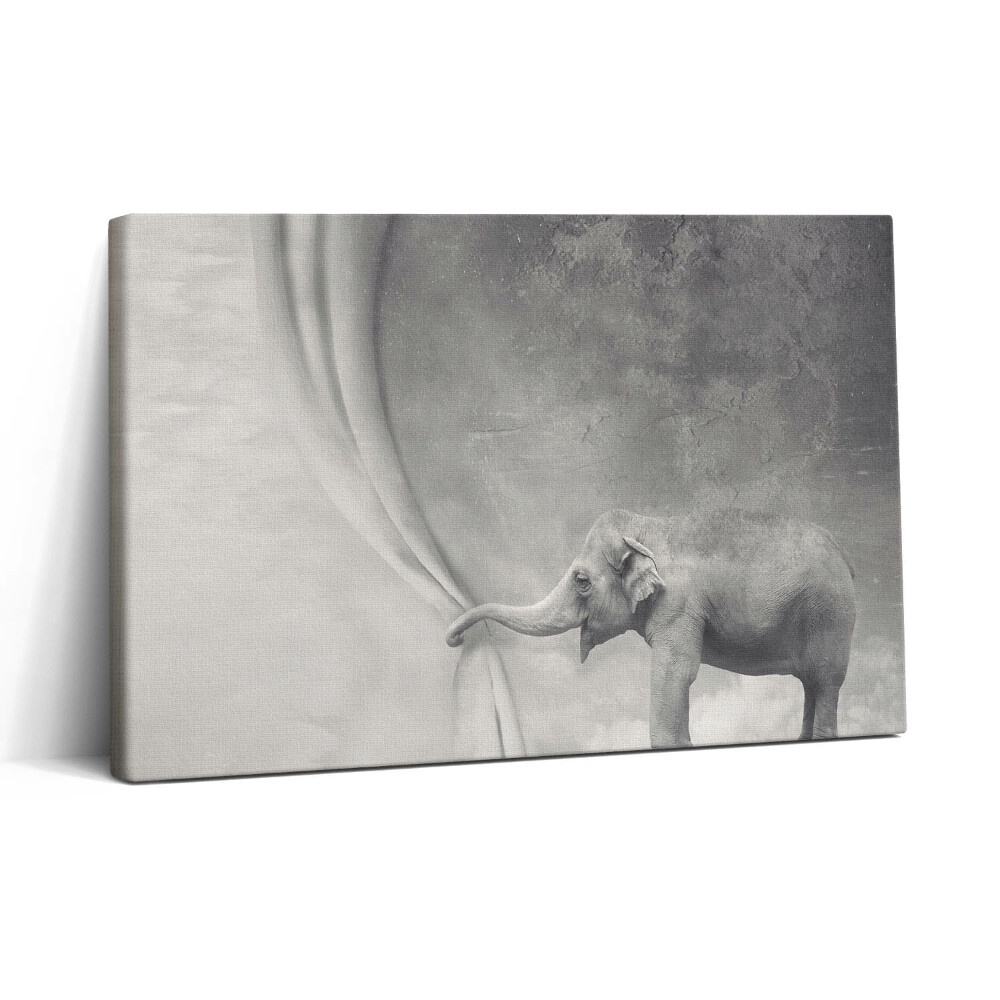 Tablou canvas 30x20 Elefantul din spatele cortinei