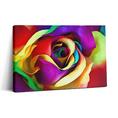 Tablou canvas 30x20 Trandafir Curcubeu