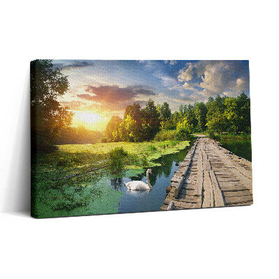 Tablou canvas 30x20 Lebădă la apus