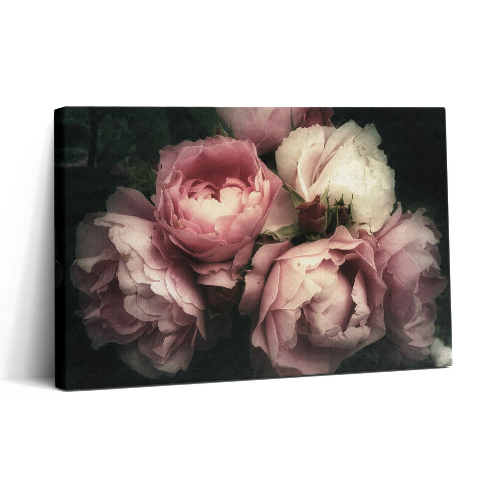 Tablou canvas 30x20 un buchet de trandafiri roz vechi
