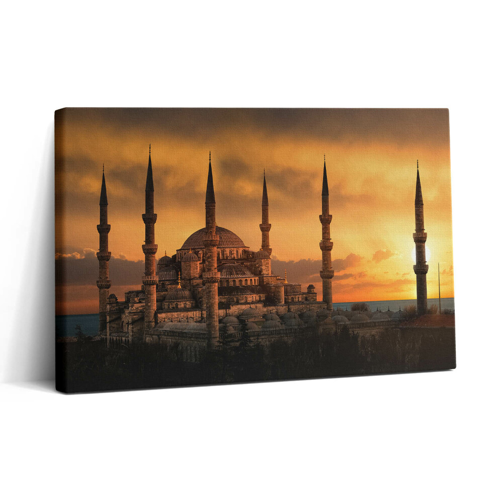 Tablou canvas 30x20 Moscheea din Istanbul