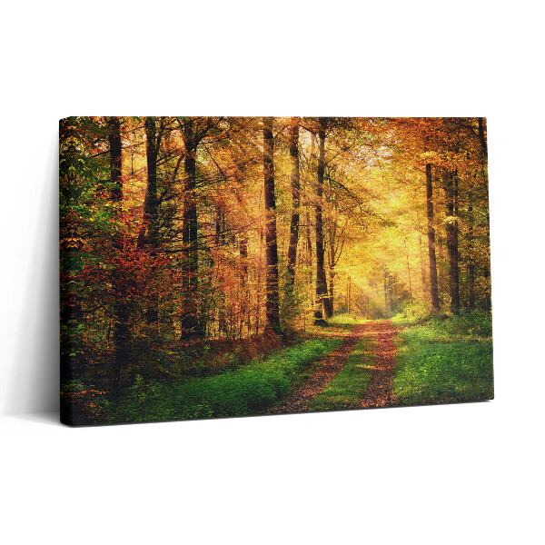 Tablou canvas 30x20 Peisaj de pădure de toamnă