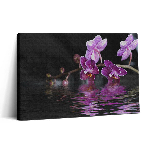 Tablou canvas 30x20 Orhidee roz pe apă