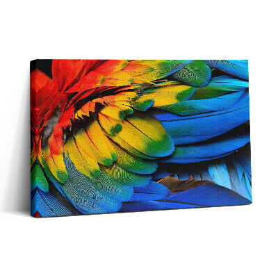 Tablou canvas 30x20 Aripi colorate ale unui papagal macaw