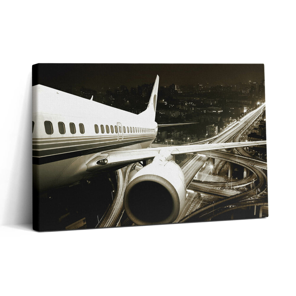 Tablou canvas 30x20 Avionul și orașul