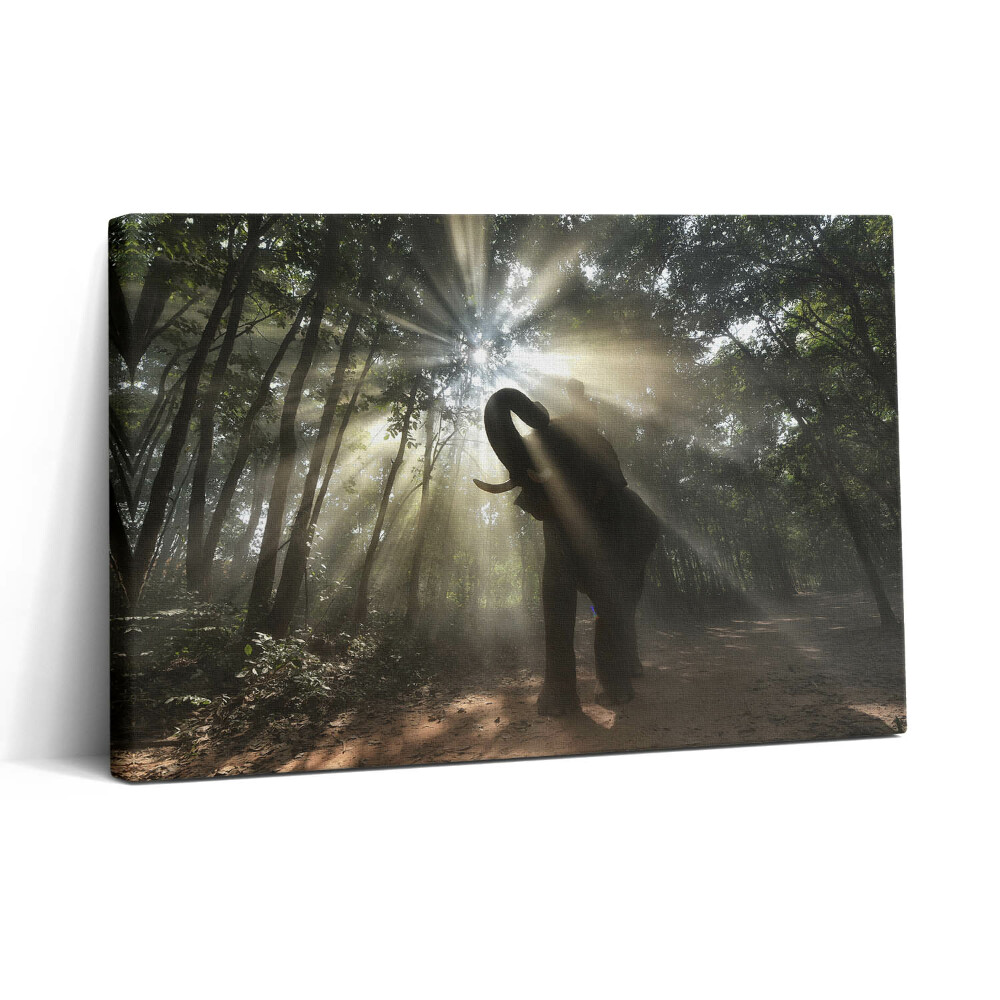 Tablou canvas 30x20 Elefantul în junglă