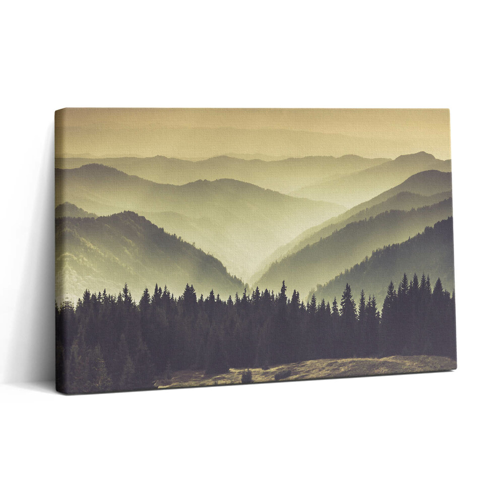 Tablou canvas 30x20 Pante muntoase încețoșate