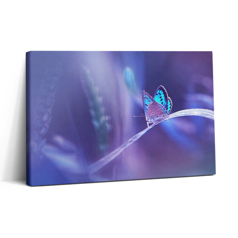 Tablou canvas 30x20 Fluture pe iarbă