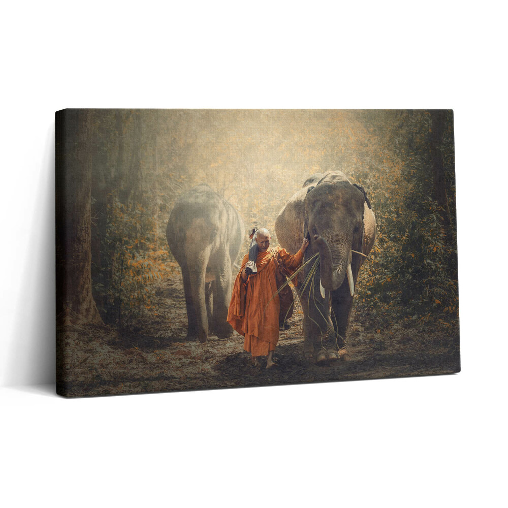 Tablou canvas 30x20 Călugăr și elefanți