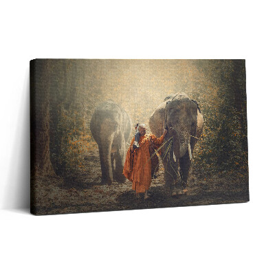Tablou canvas 30x20 Călugăr și elefanți