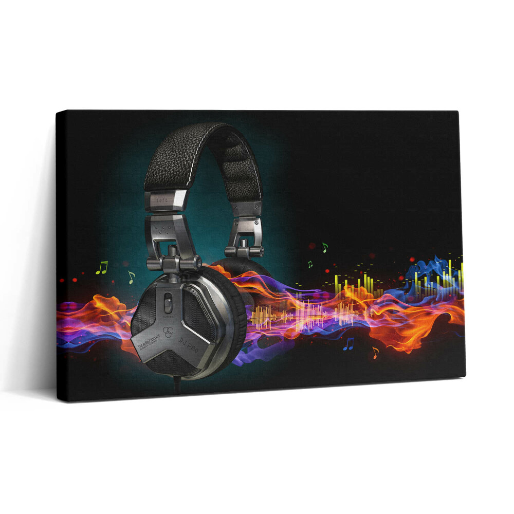 Tablou canvas 30x20 Căști și unde sonore