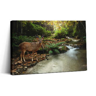 Tablou canvas 30x20 Pârâu tropical și cerbi