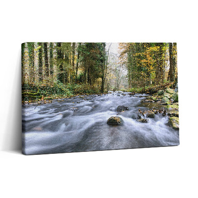 Tablou canvas 30x20 Pârâu de munte