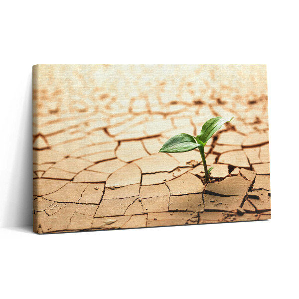 Tablou canvas 30x20 Plantați în sol uscat