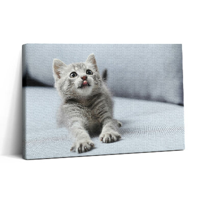 Tablou canvas 30x20 Pisicuță drăguță pe canapea